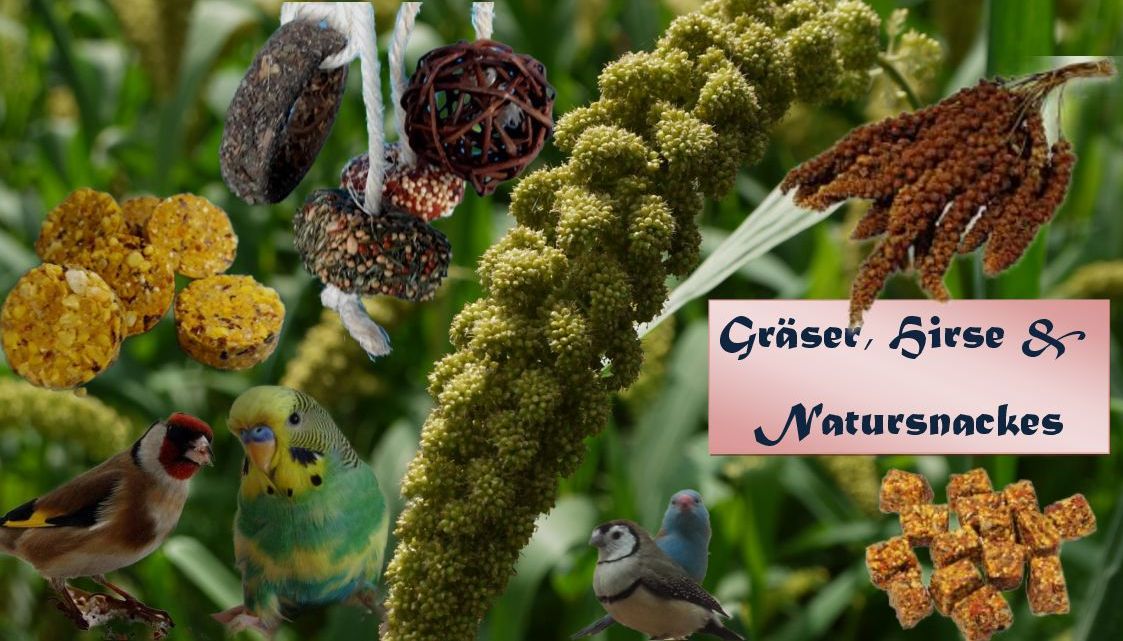 Gräser & Hirse & Natur Snacks